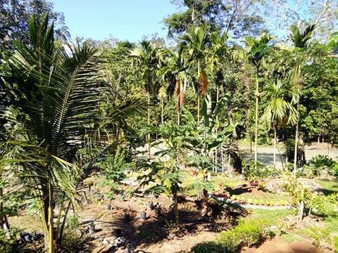 Orchid Bungalow & Restaurant Timbanglawang Ngoại thất bức ảnh