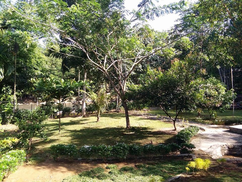 Orchid Bungalow & Restaurant Timbanglawang Ngoại thất bức ảnh